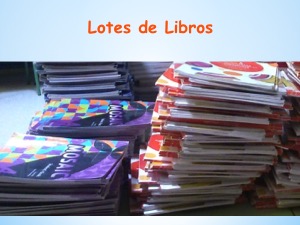 Lotes 3