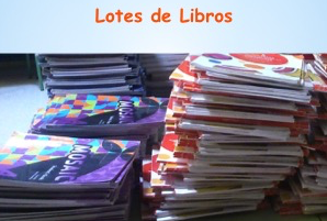 Lotes 4