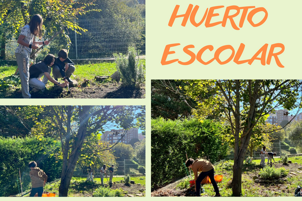 Huerto escolar1