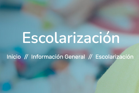 Escolarizacion 4