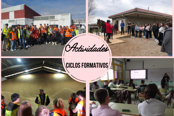 Actividades ciclos febrero 24