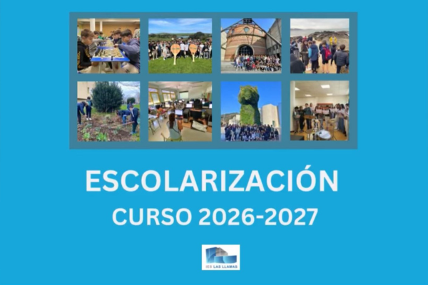 Escolarizacion 3